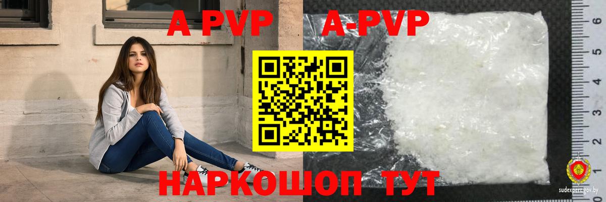 А ПВП СК Новый Уренгой