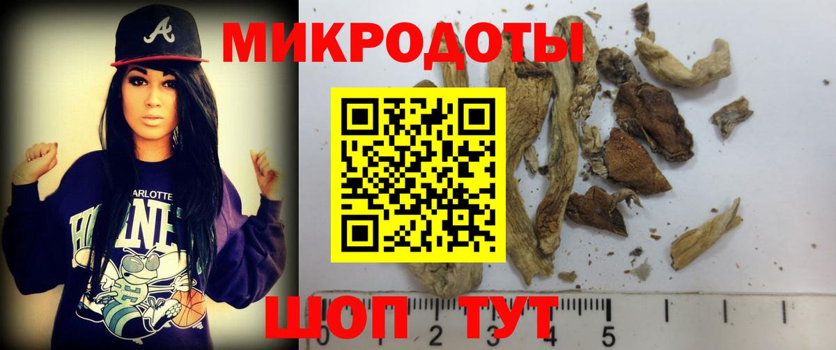 Галлюциногенные грибы Psilocybe Новый Уренгой